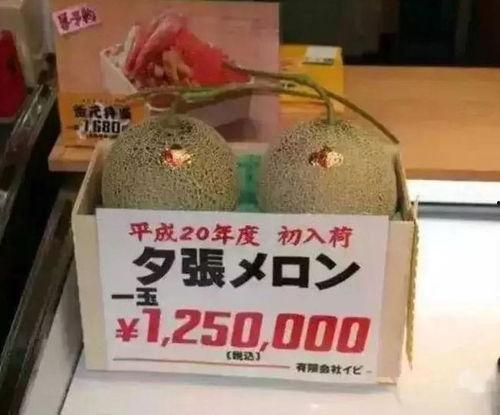 娱乐吃瓜场地有哪些